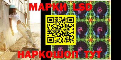 прущие грибы Можга