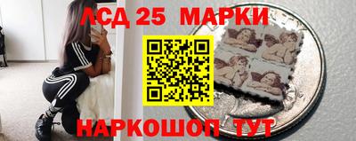 прущие грибы Можга