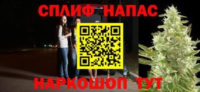 индика Можайск