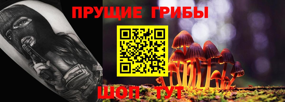 Галлюциногенные грибы MAGIC MUSHROOMS Чебаркуль